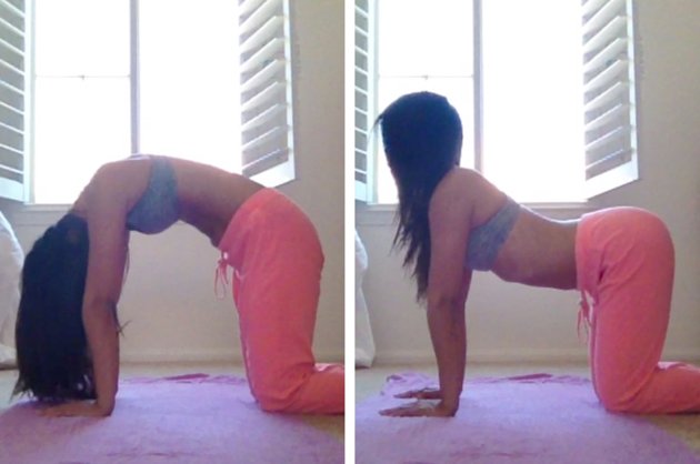 Cat Cow Pose