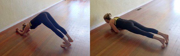 k-dolphinforearmplank