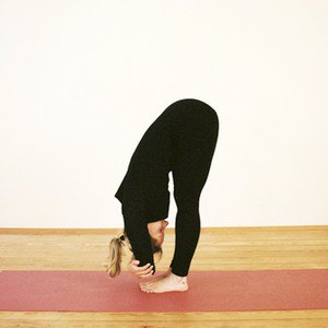 Standing Forward Bend Yoga Pose